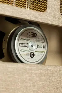 Divided By 13 CCC 9/15 - Combo - Celestion 454 - Tan Fawn