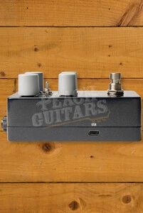 Universal Audio Orion Tape Echo Guitar Pedal