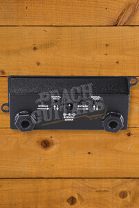 Temple Audio Modules | 2X MOD PRO - 2 Channel Buffer