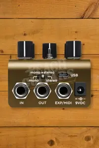 Strymon Olivera | Vintage Oil Can Echo