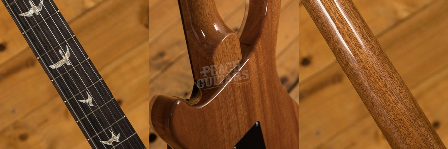 PRS Special Semi Hollow Limited Edition - River Blue