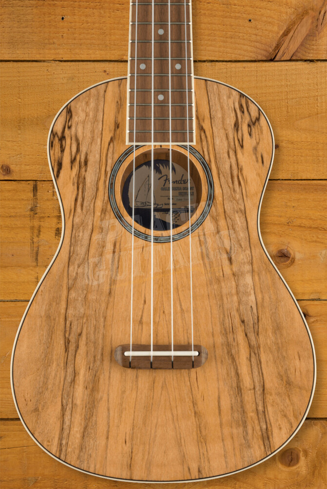 Fender Zuma Exotic Concert Ukulele Spalted Maple