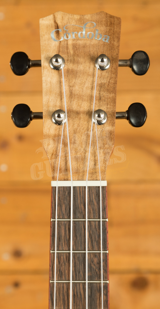 Cordoba 24 Series Ukes | 24C Spruce Concert Ukulele - Natural