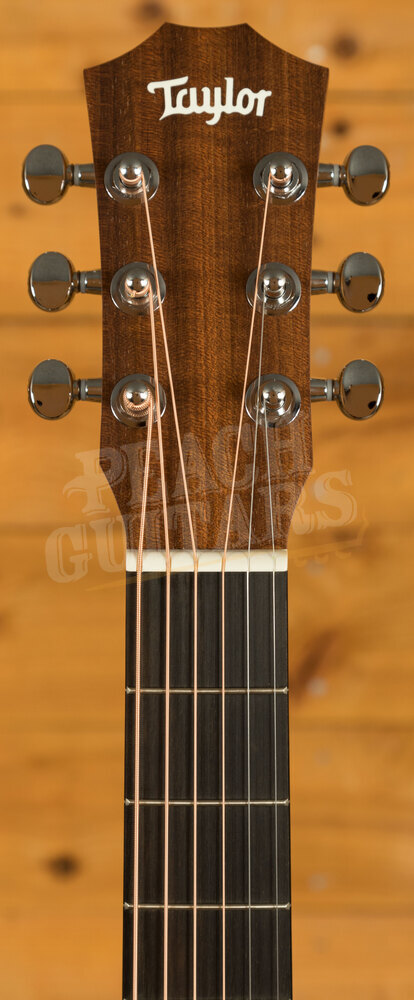 Taylor Baby Series | Baby Mahogany (BT2)