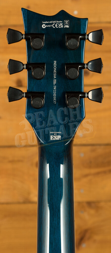 ESP String LTD Deluxe EC-1000 Electric Guitar, Blue Natural Fade, Right,  (LEC1000BPBLUNFD)