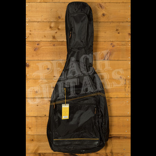 fender fe405 electric gig bag