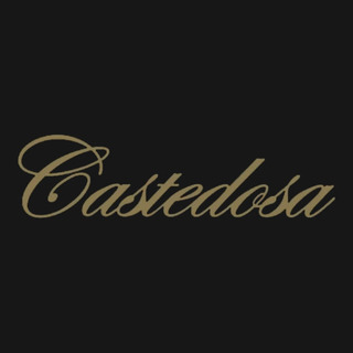 Castedosa Guitars logo