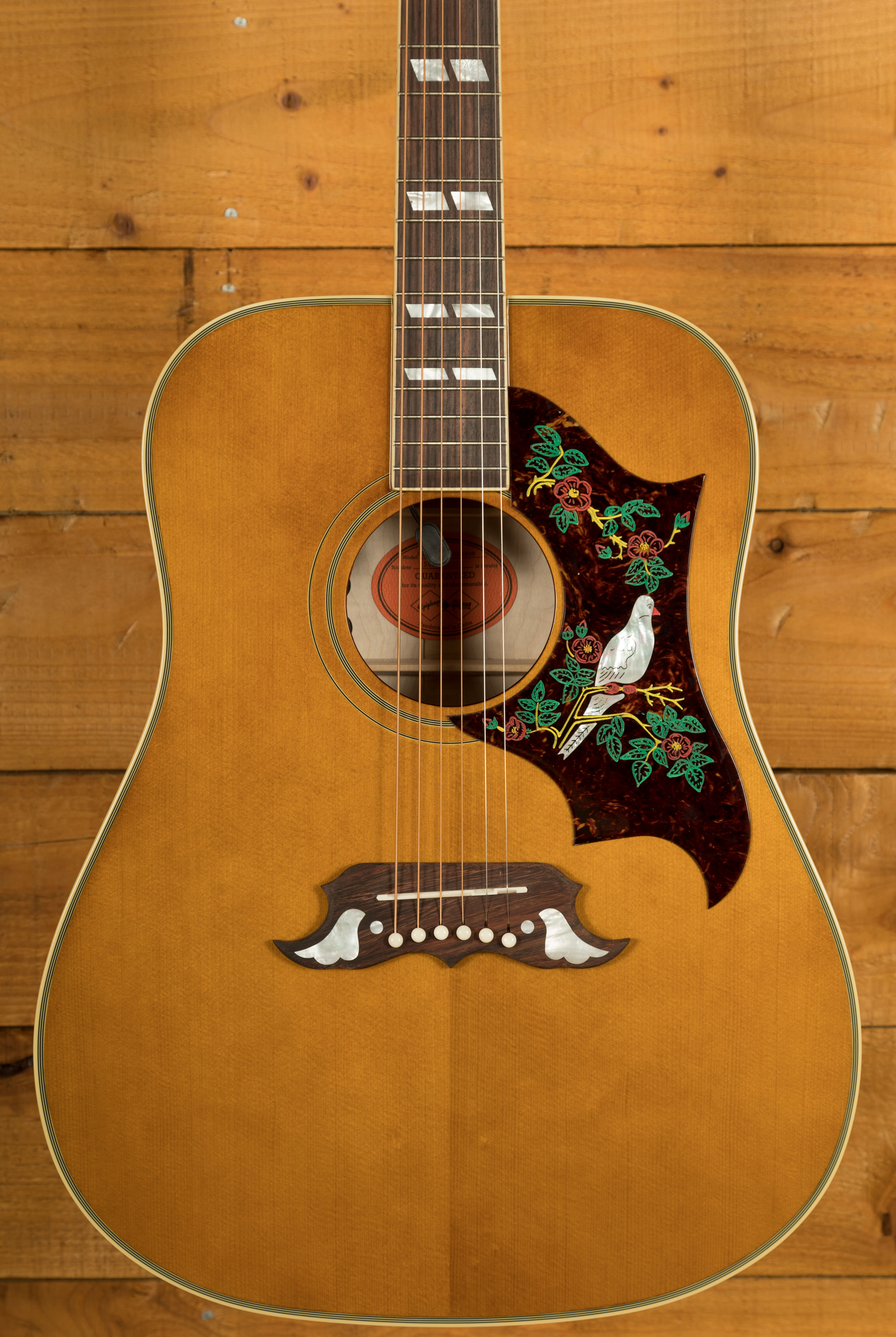 by Gibson Epiphone Hummingbirdエレアコ Dove Epiphone An Inspired by Gibson Custom recreation of one of